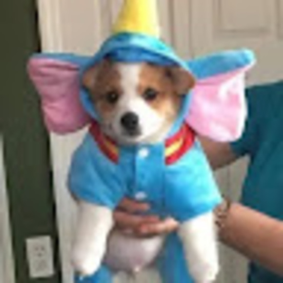 audreythomps334